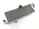 SWM RS 125 R B2 [2020] - Radiator water cooler cooling system radiator net at the front-7