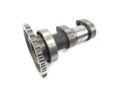 Suzuki RM Z 250 RJ41A [2007] - Camshaft intake camshaft-2