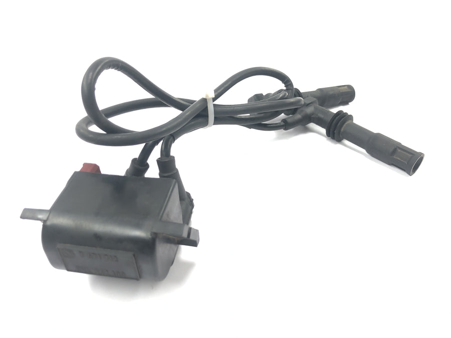 BMW R 1150 R R21 [2001] - Ignition coil double ignition coil ignition module ignition system