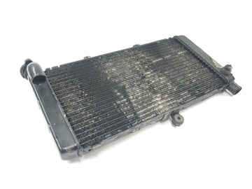 Honda CBR 900 RR SC28 [1995] - Radiator water cooler radiator network