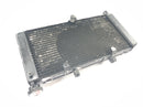Honda CBR 900 RR SC28 [1995] - Radiator water cooler radiator network-3