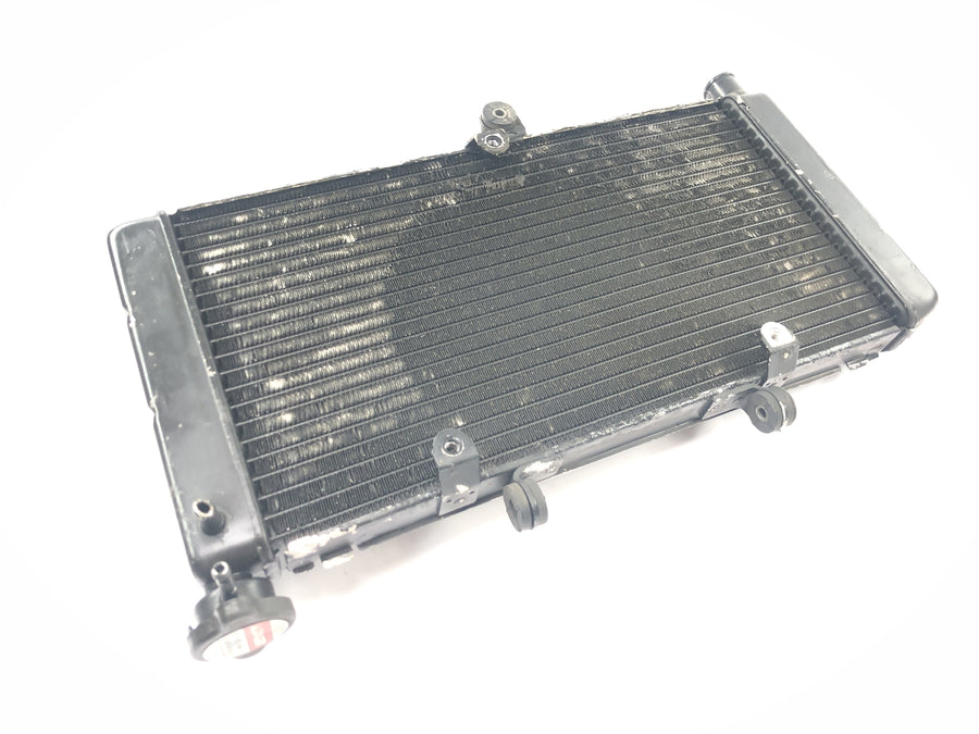 Honda CBR 900 RR SC28 [1995] - Radiator water cooler radiator network