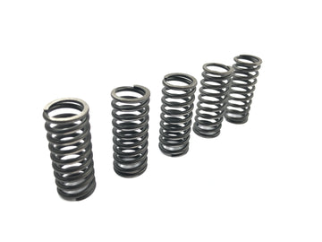 Suzuki RM Z 250 RJ41A [2007] - Clutch spring spring set clutch pressure springs