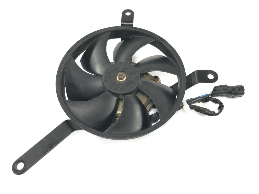 Honda CBR 600 RR PC37 [2004] - Radiator fan electric front fan
