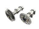 Aprilia Mille RSV 1000 ME [1999] - Camshaft cam set control shaft camshaft set rear-3