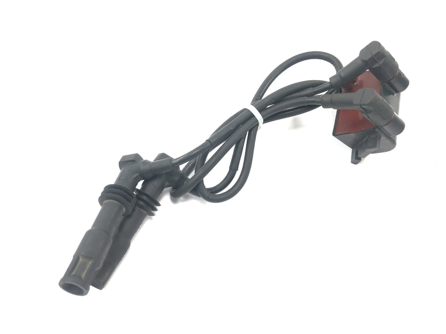 BMW R 1150 R R21 [2001] - Ignition coil double ignition coil ignition module ignition system