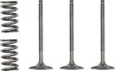 GAS GAS EC 450 [PROX] – valve and spring set