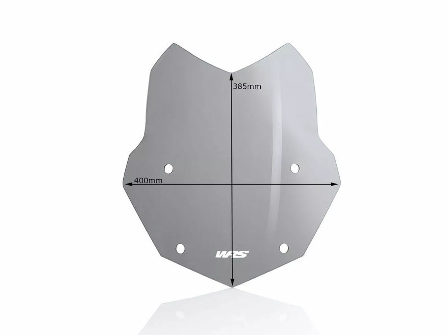 BMW R 1200 R [WRS] - windshield