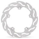 BMW S 1000 R [2025] - brake disc – picture 7