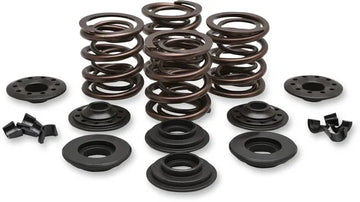 Harley Davidson Flfb [KIBBLEWHITE] - OEM Replacement Valve Spring Kit