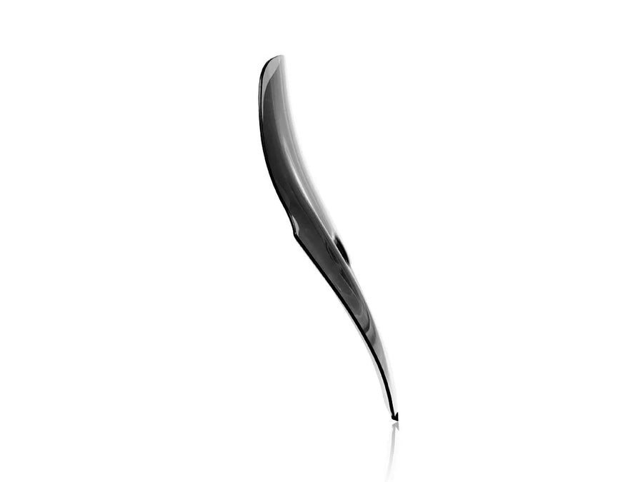 ducati diavel v4 [WRS] – windshield