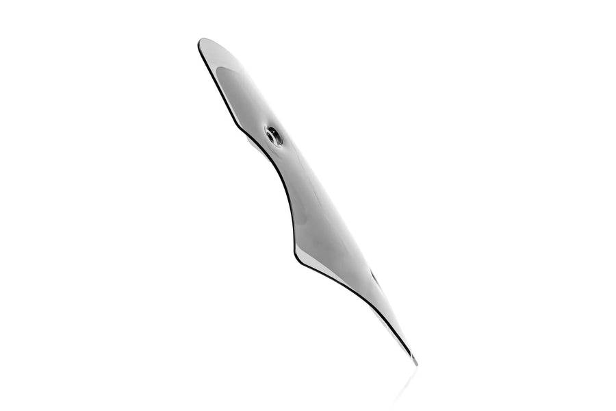 Ducati Multistrada V4 [WRS] - windshield