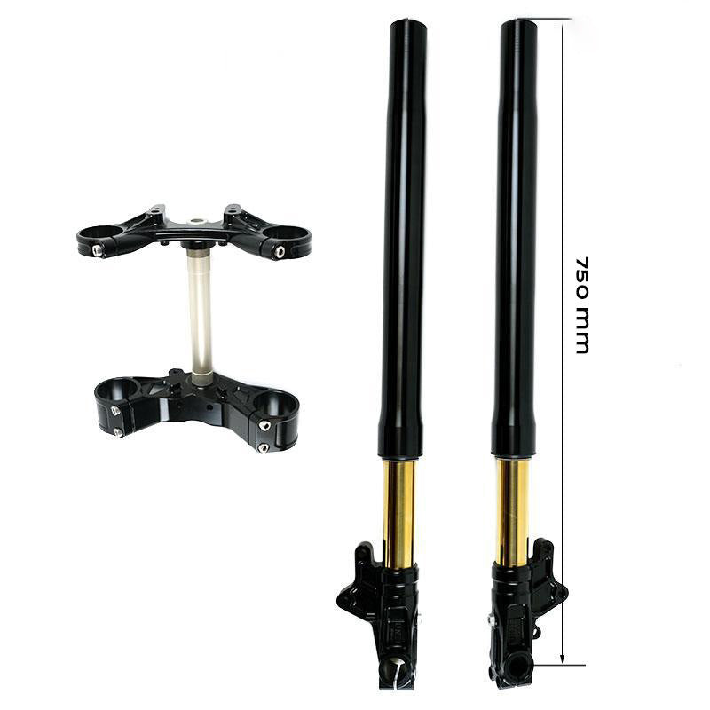 BMW R nineT 1200 Pure [2017-2023] - Öhlins USD LOW Gabel-Kit + Einheit Garagenplatten und Füße (niedrige Version)