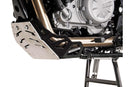 BMW G 650 GS [2012-2015] - engine protection – picture 1