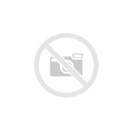 Honda CBF 600 S/ CBF 600 N [GIVI] - side case carrier for V35