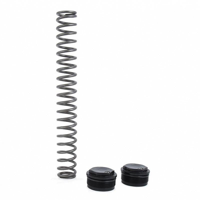 BMW R nineT 1200 Pure [2017-2023] - Öhlins NIX 22 mm Gabelkartusche (2017-2023)